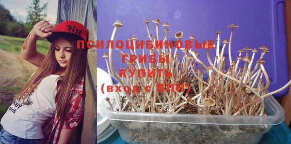соль курить ск Белая Холуница