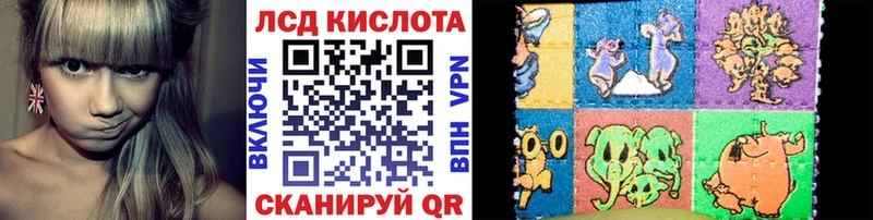 купить наркотик  mega зеркало  Наркотические марки 1,5мг  Шуя 
