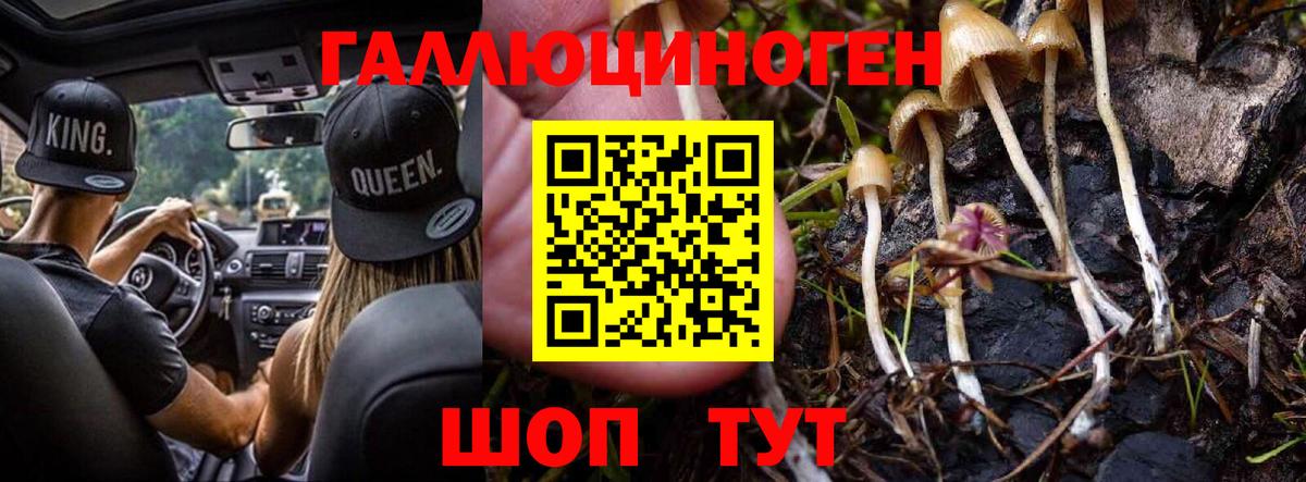 Галлюциногенные грибы Magic Shrooms Шуя
